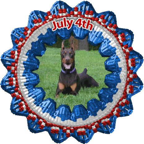 Mirabel Doberman Cincinnati Ohio