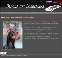 Blackjack Dobermans