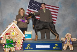 tank-savannah-nov-2011-640