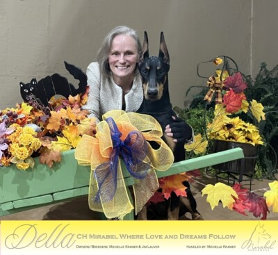 Mirabel Doberman black female