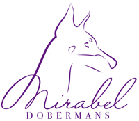 Mirabel Dobermans Logo